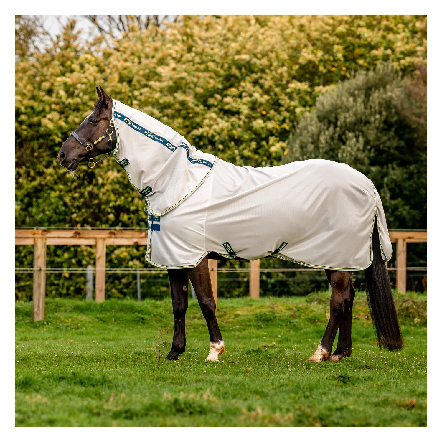 HORSEWARE Fliegendecke AMIGO Bug Rug  - lunar/rock/navy/lime
