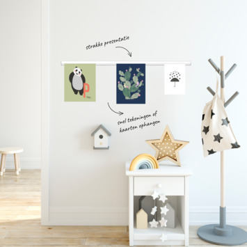 Artiteq schilderij ophangsysteem inforail 1 meter geborsteld aluminium
