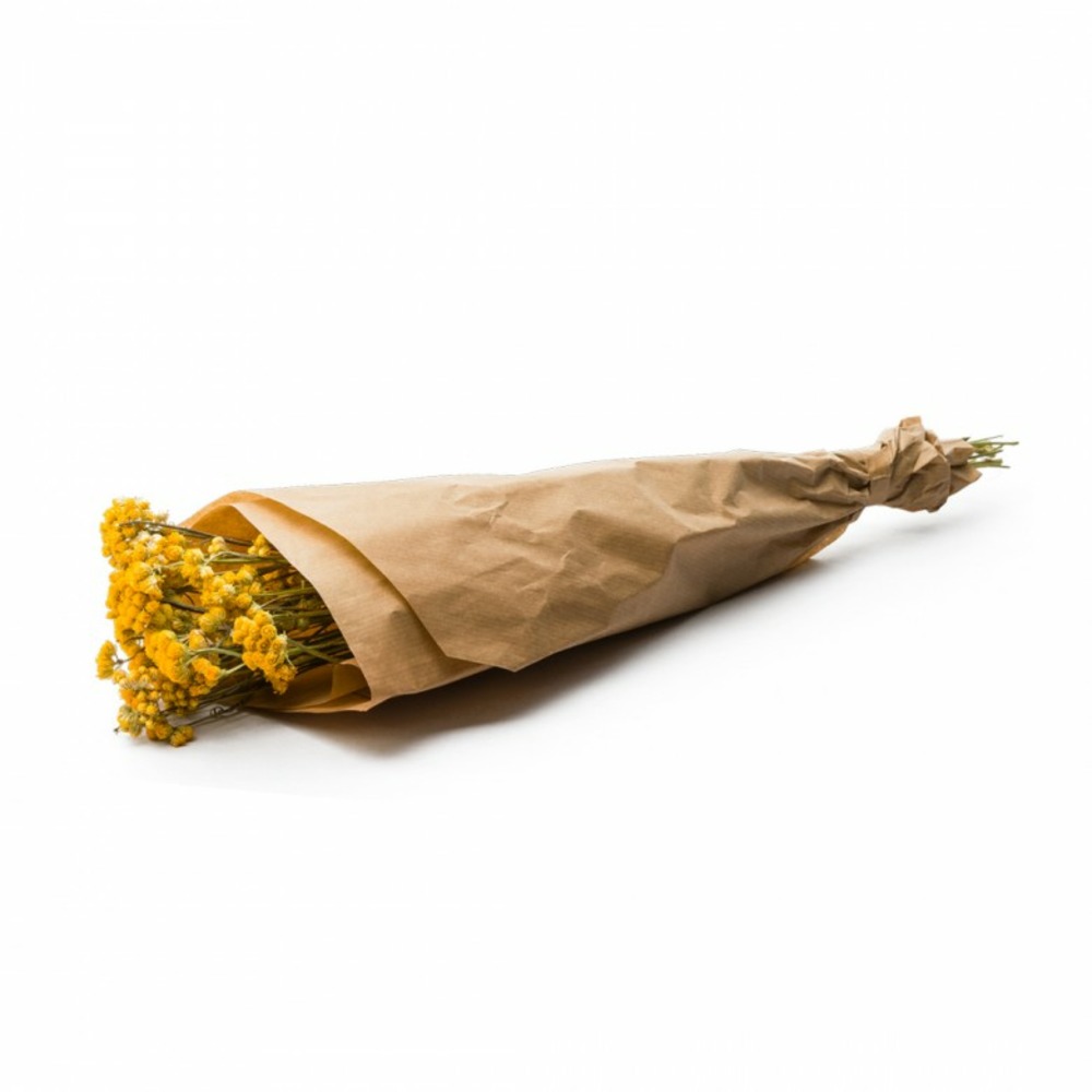 Botte de fleurs séchées lona natural jaune