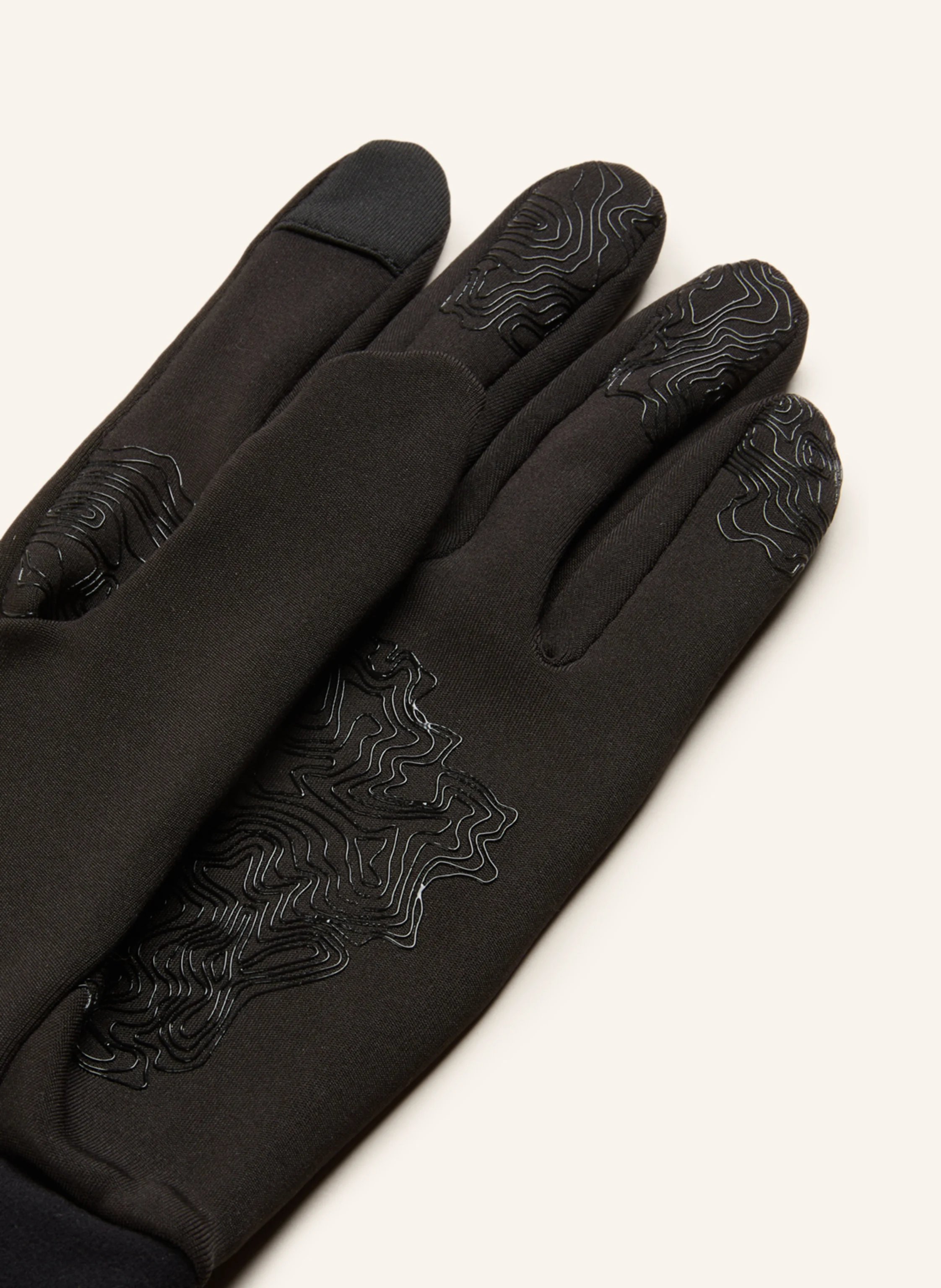 reusch Skihandschuhe ASHTON TOUCH-TEC™