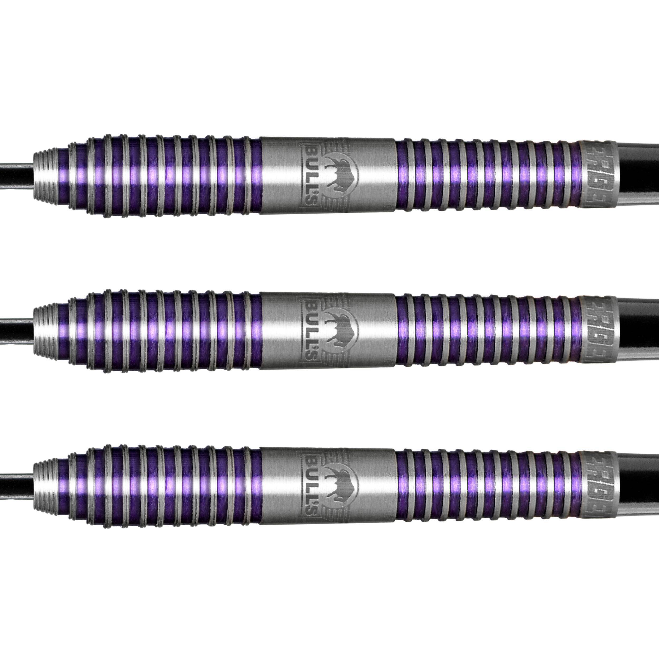 Bull's NL - Dirk van Duijvenbode 80% - Steeldart
