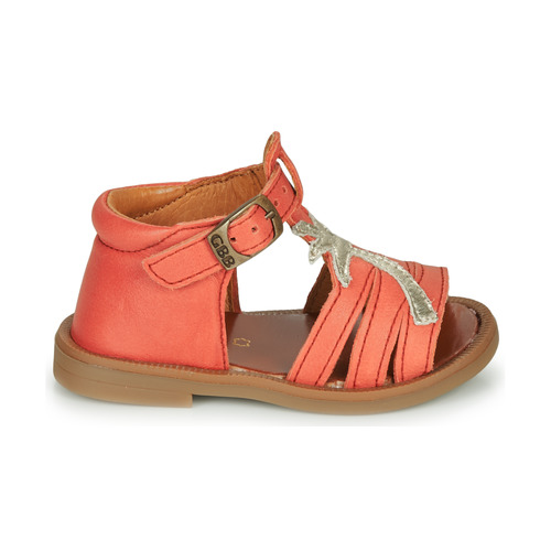GBB - ARAGA - Corail