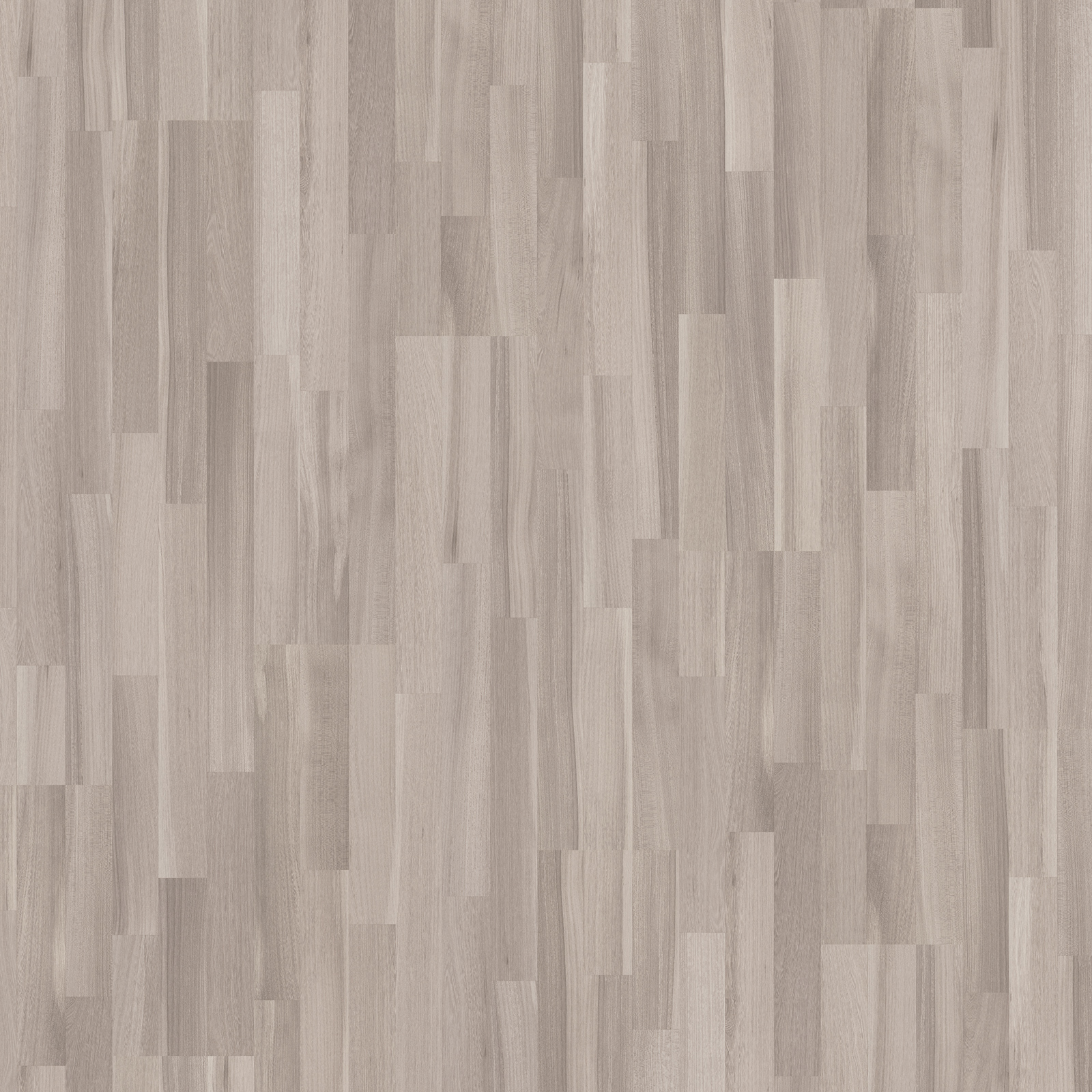 PARADOR Laminat BASIC 200 - Akazie grau - 7 mm