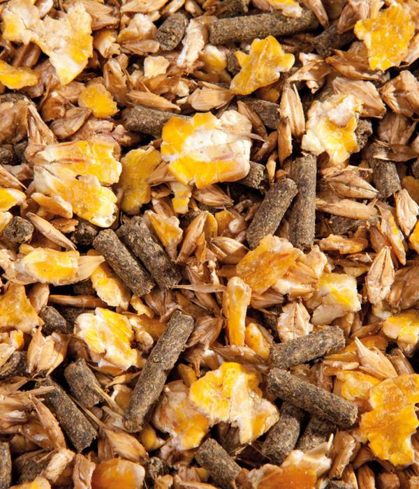 Eggersmann Pferdefutter EMH F-Müsli, 25 kg