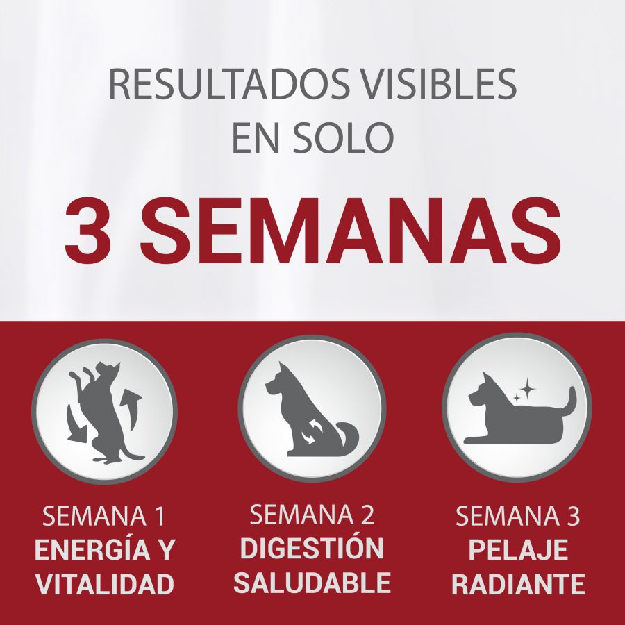Ração para cães Purina One Adult Mini Bifensis Delicado Salmão e Arroz