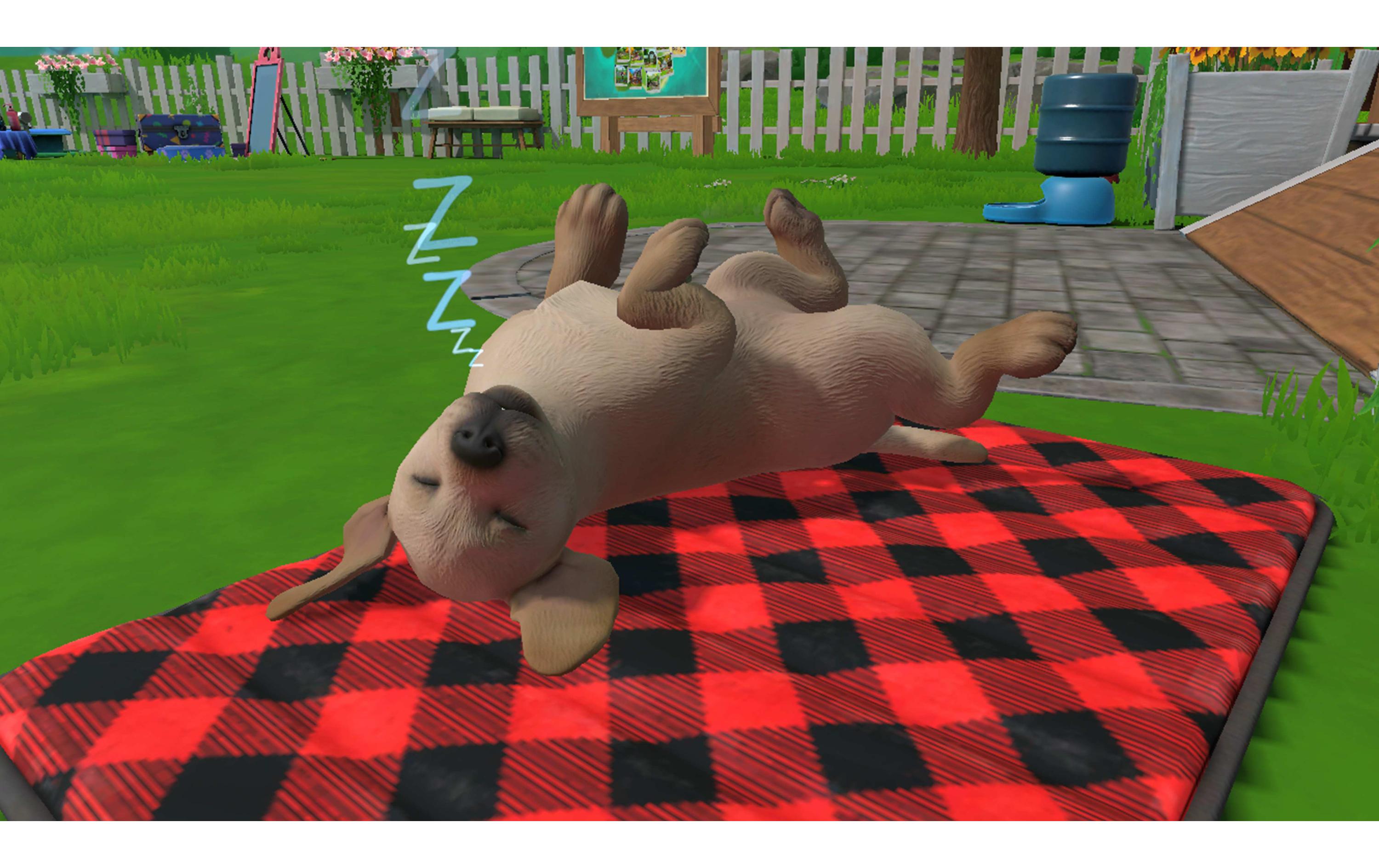 Little Friends: Puppy IslandSimulation-Spiel für die Switch