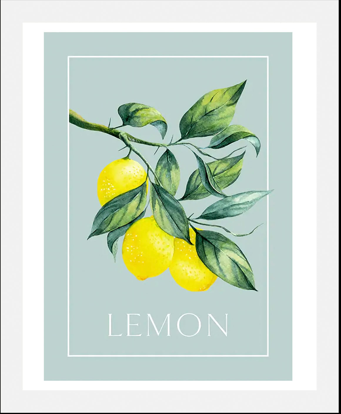 queence Bild mit Rahmen »oder Poster, Lemon - Zitronenzweig« Abstrakt | Figuren | Obst | Obst Bilder | Schriftzug 1 Stk. tlg. HD Premium Druck