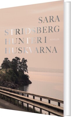 Hunter I Huskvarna - Sara Stridsberg - Bog