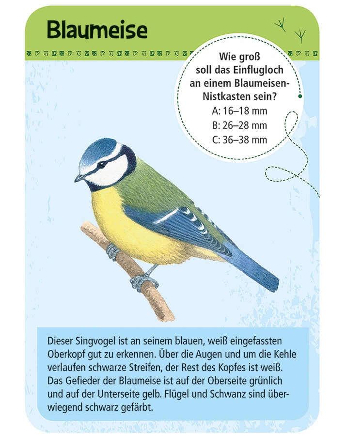 Kartenset 