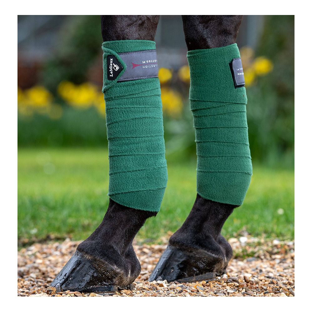 Le Mieux CLASSIC - Bandes de polo x4 hunter green