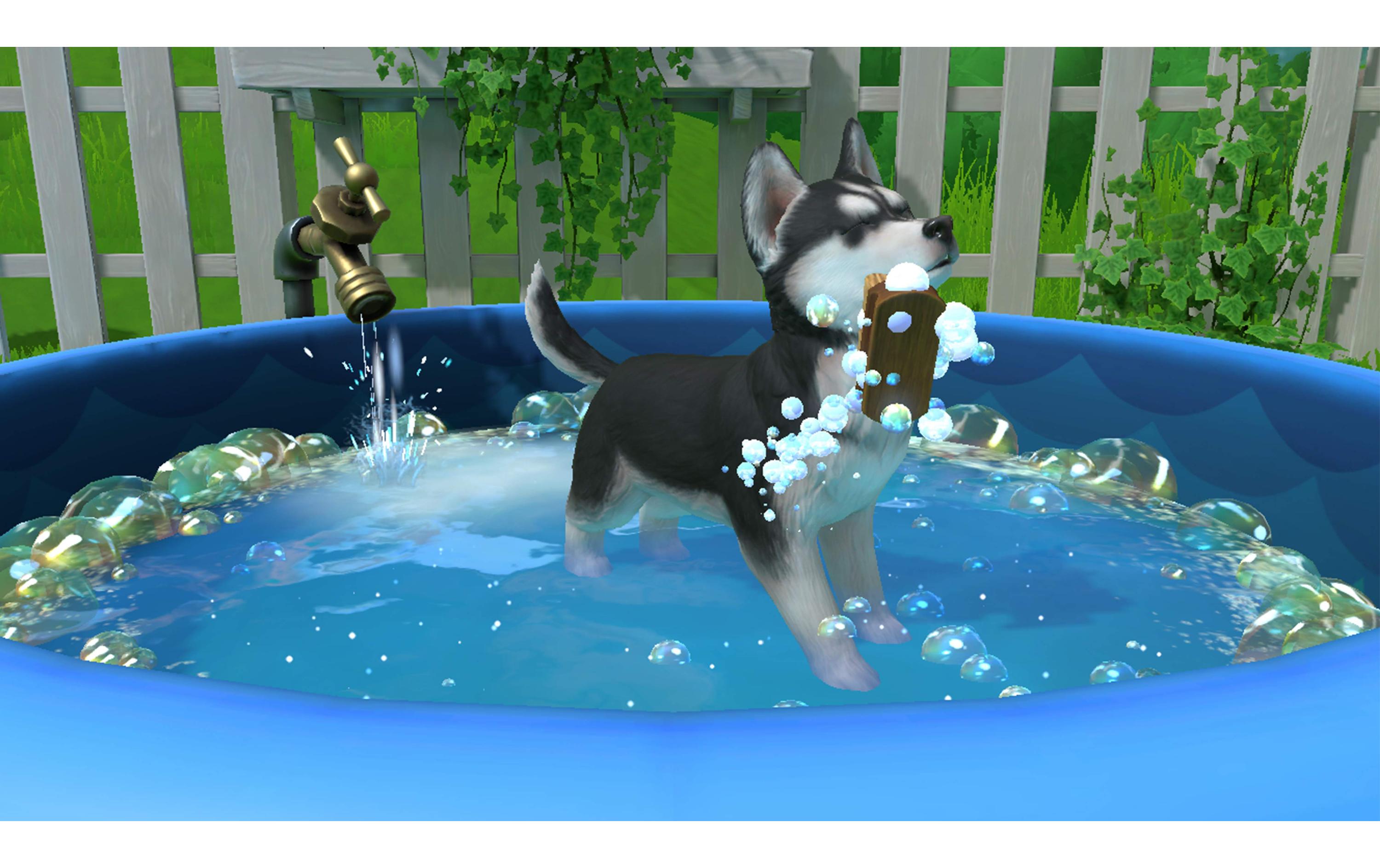 Little Friends: Puppy IslandSimulation-Spiel für die Switch
