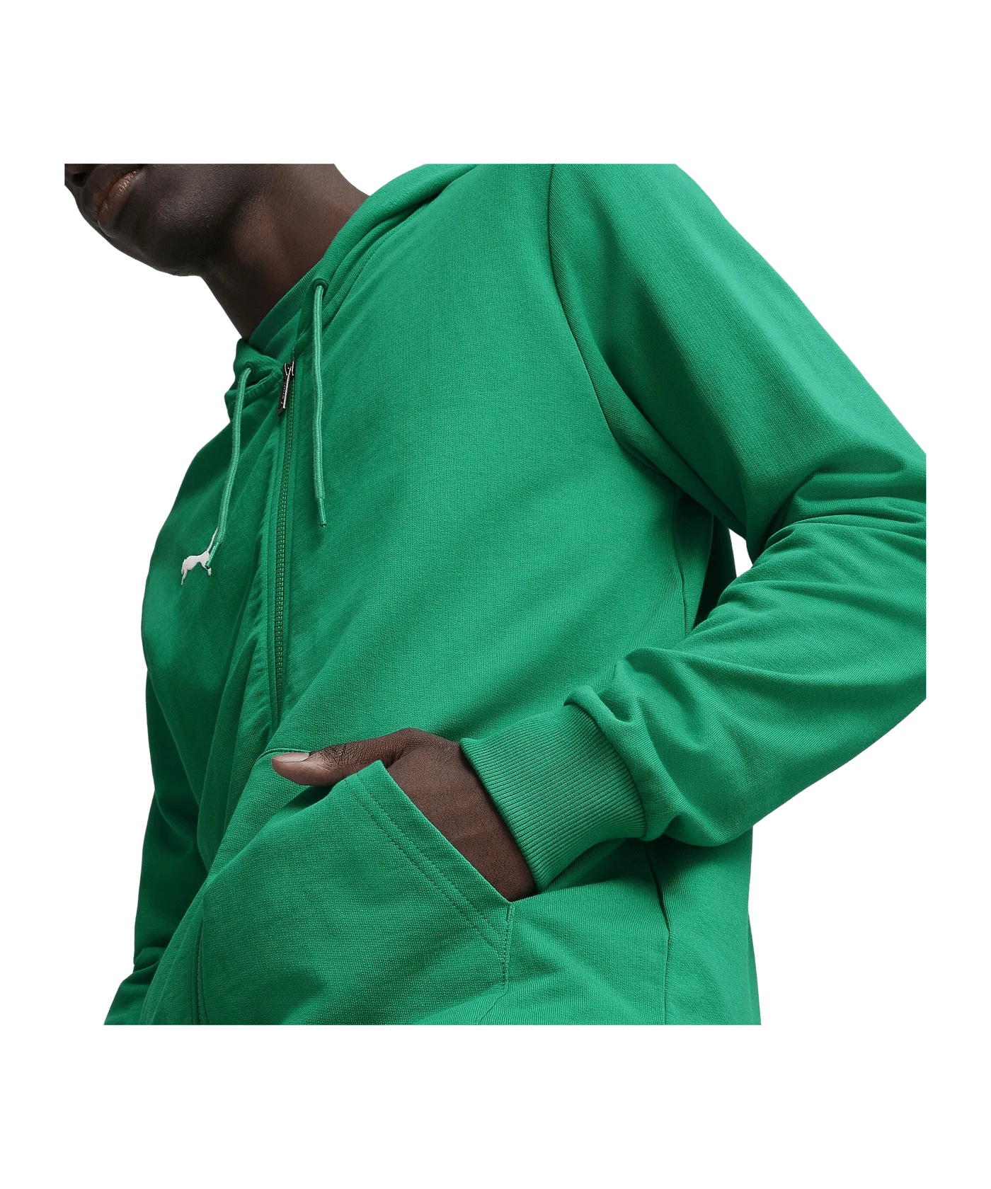 PUMA teamGOAL Casuals hooded jacket green F05