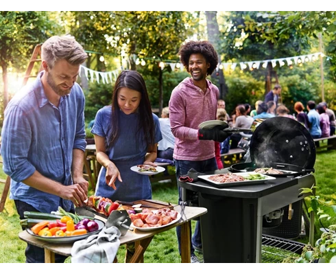 Weber Performer® Deluxe 57 cm GBS