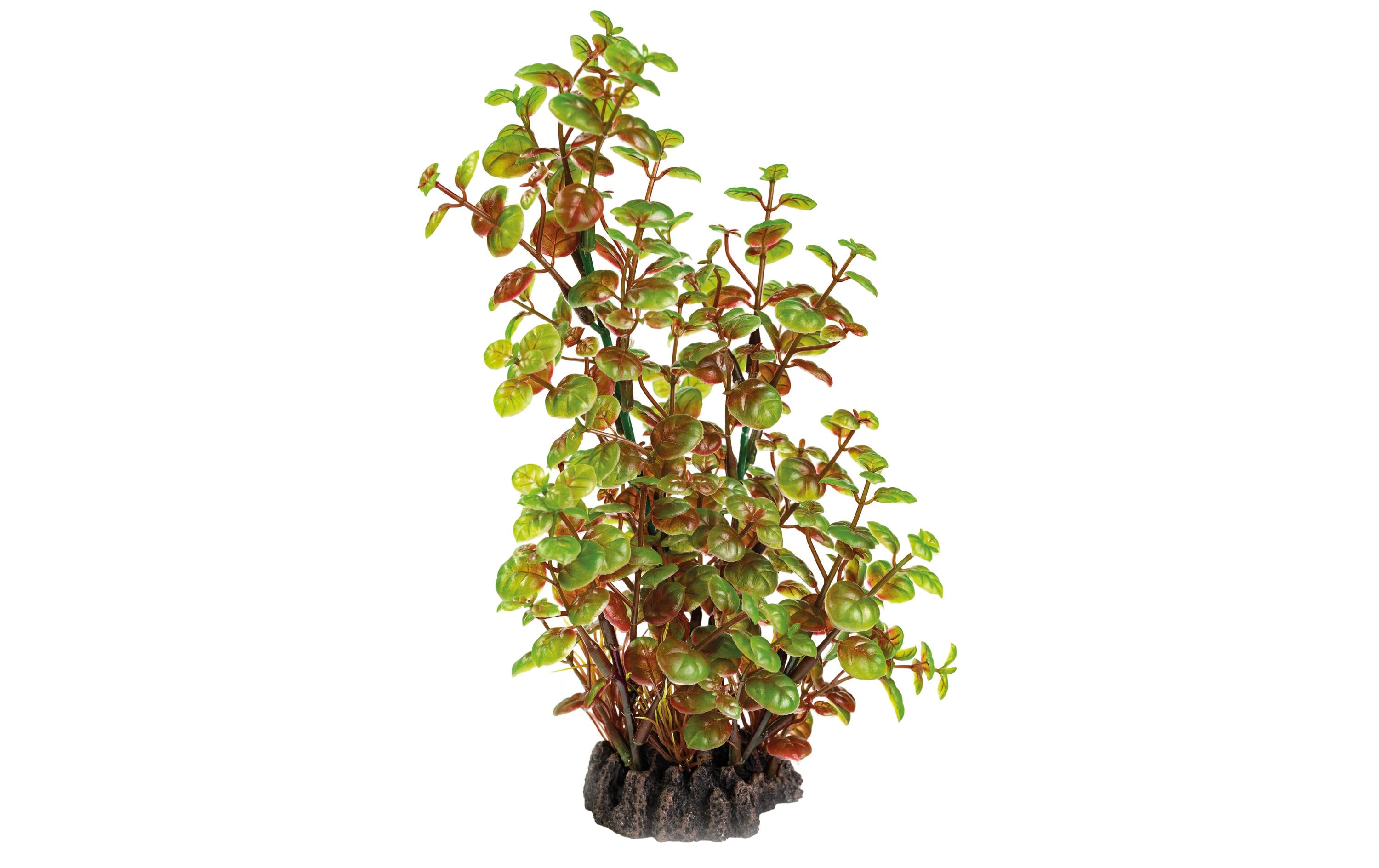 Kunstpflanze Rotala, 25 cmWunderschöne, realistisch aussehende Kunstpfanze