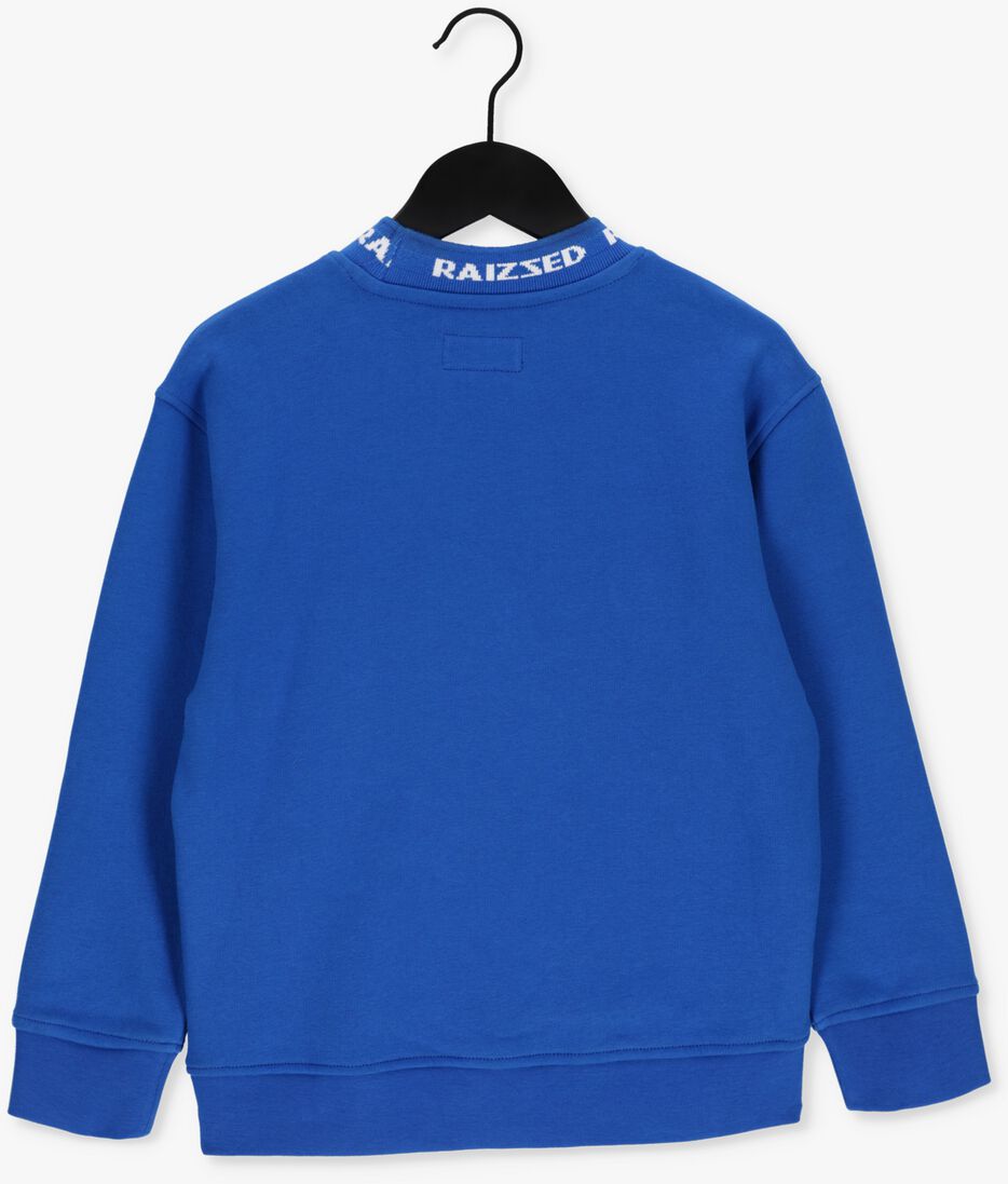 RAIZZED blauwe raizzed trui mitchel