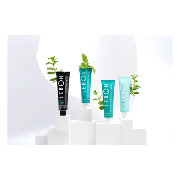 Lebon Dentifrice menthe douce Essentiels - 80 ml