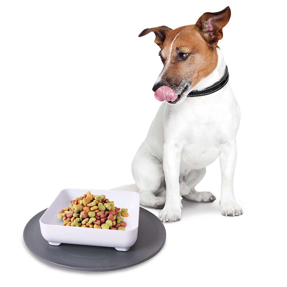 Gamelle anti dérapante pour chat ou chien