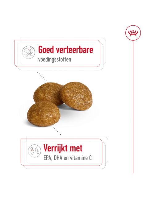 Royal Canin X-Small Adult - Hondenvoer