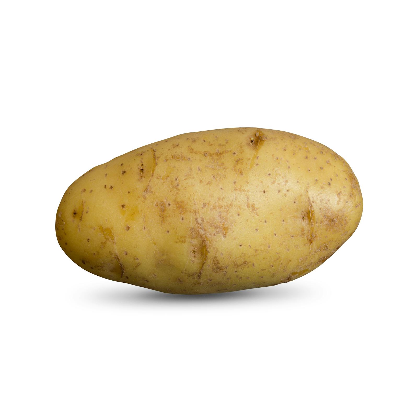 Pomme de terre
