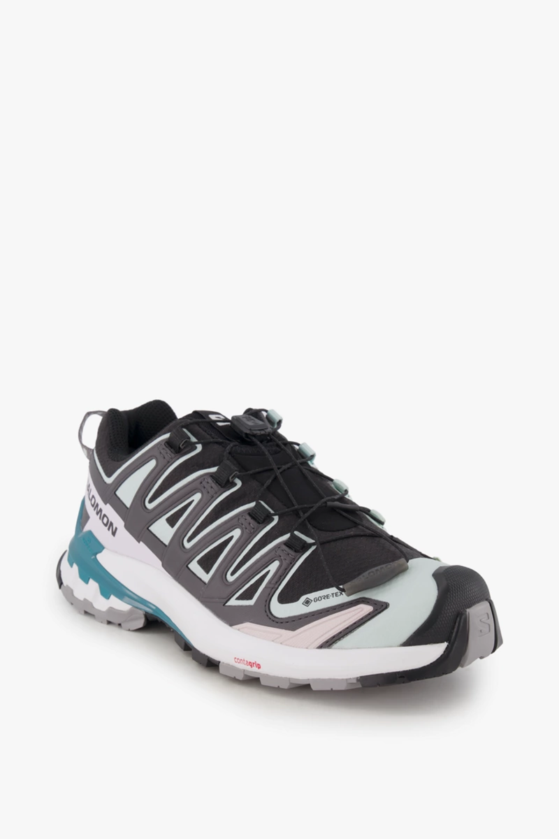 Salomon XA Pro 3D V9 Gore-Tex® Damen Trekkingschuh
