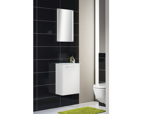 Meubel FACKELMANN Kleine Badkamercollectie BxHxD 44 x 60 cm x 24,3 cm Frontkleur wit hoogglans 86015