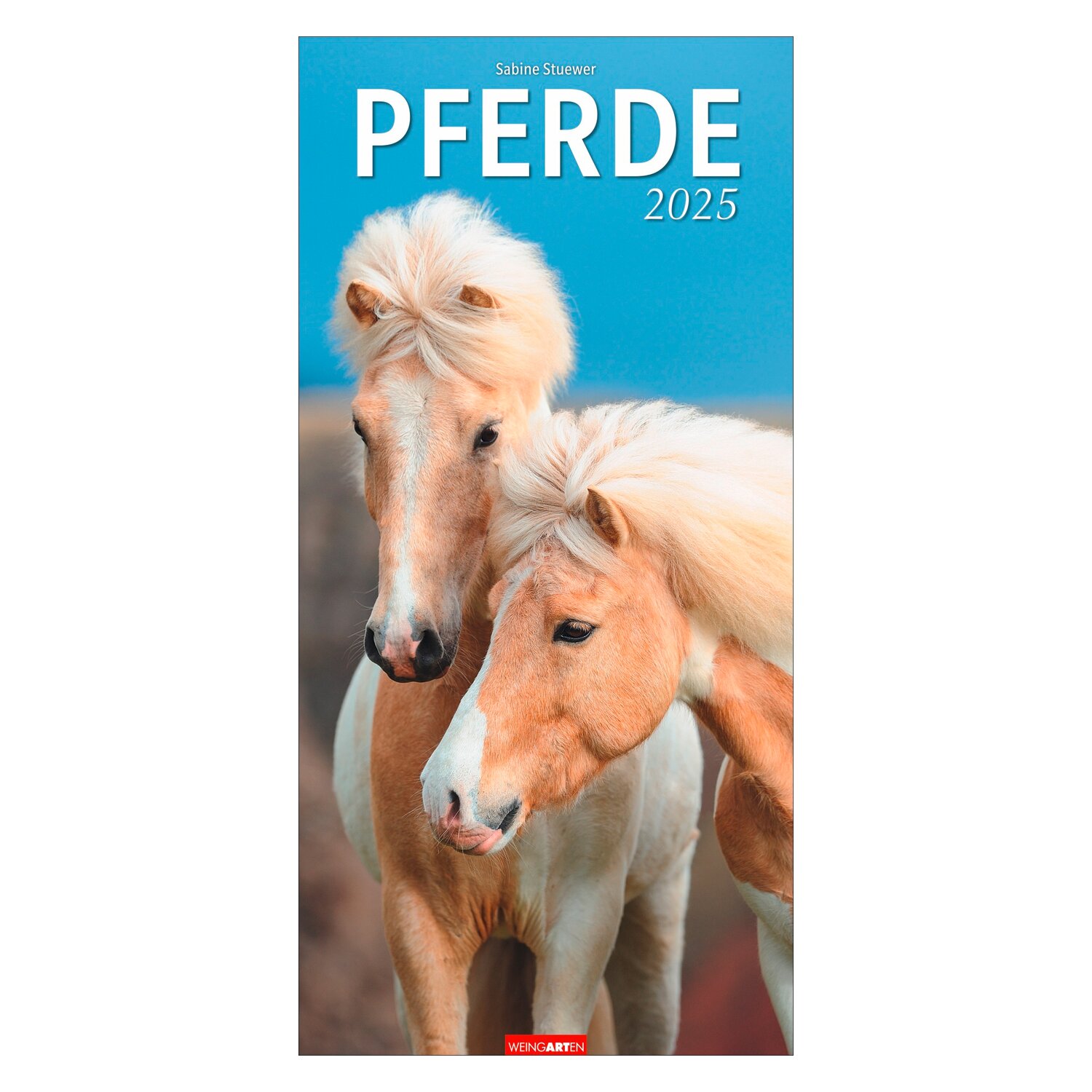 Kalender Pferde 2025