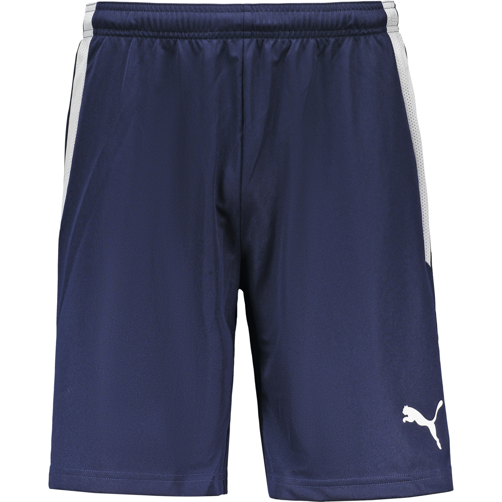 Puma Herren-Shorts teamLiga S, dunkelblau