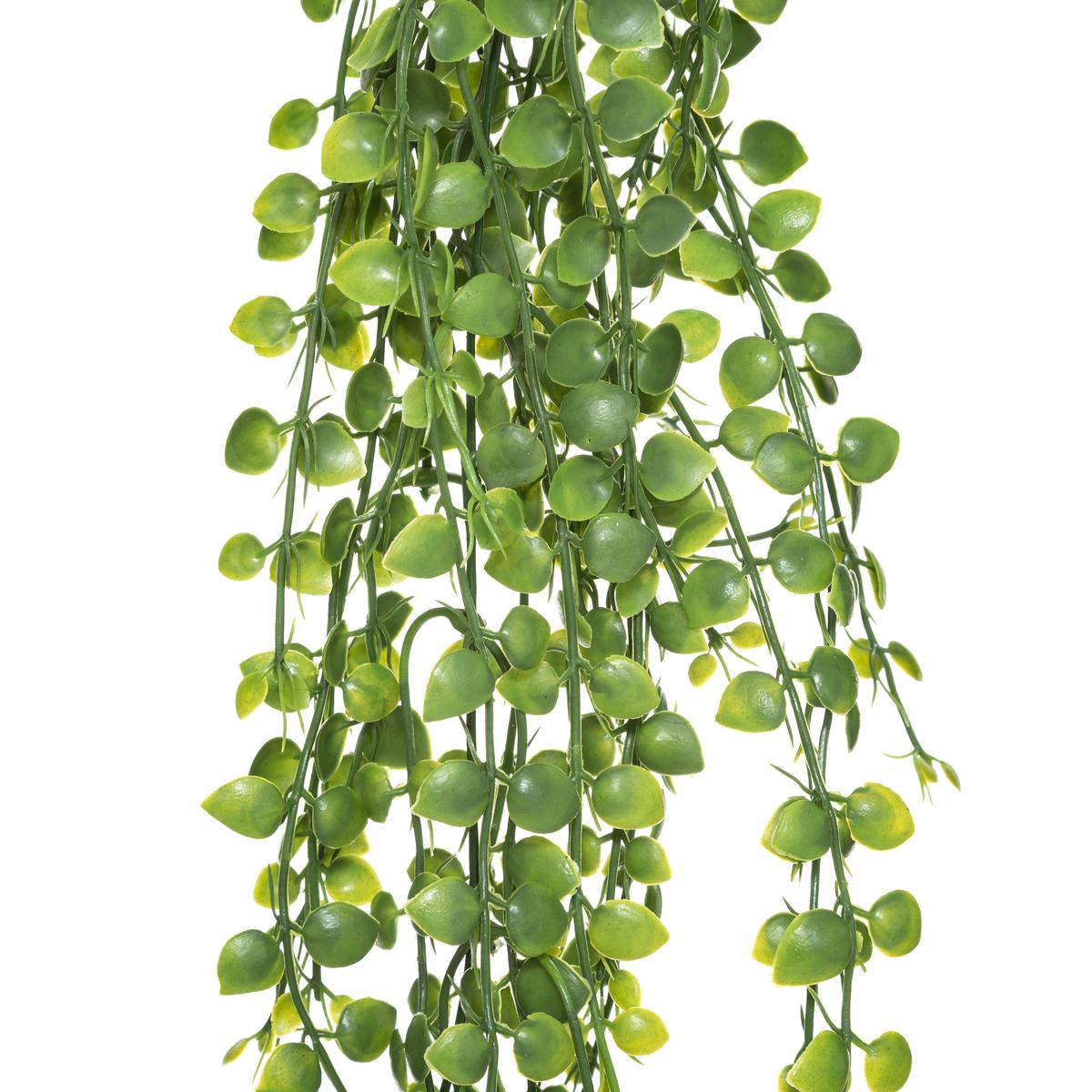 TIGE TOMBANTE ALWY H.75CM