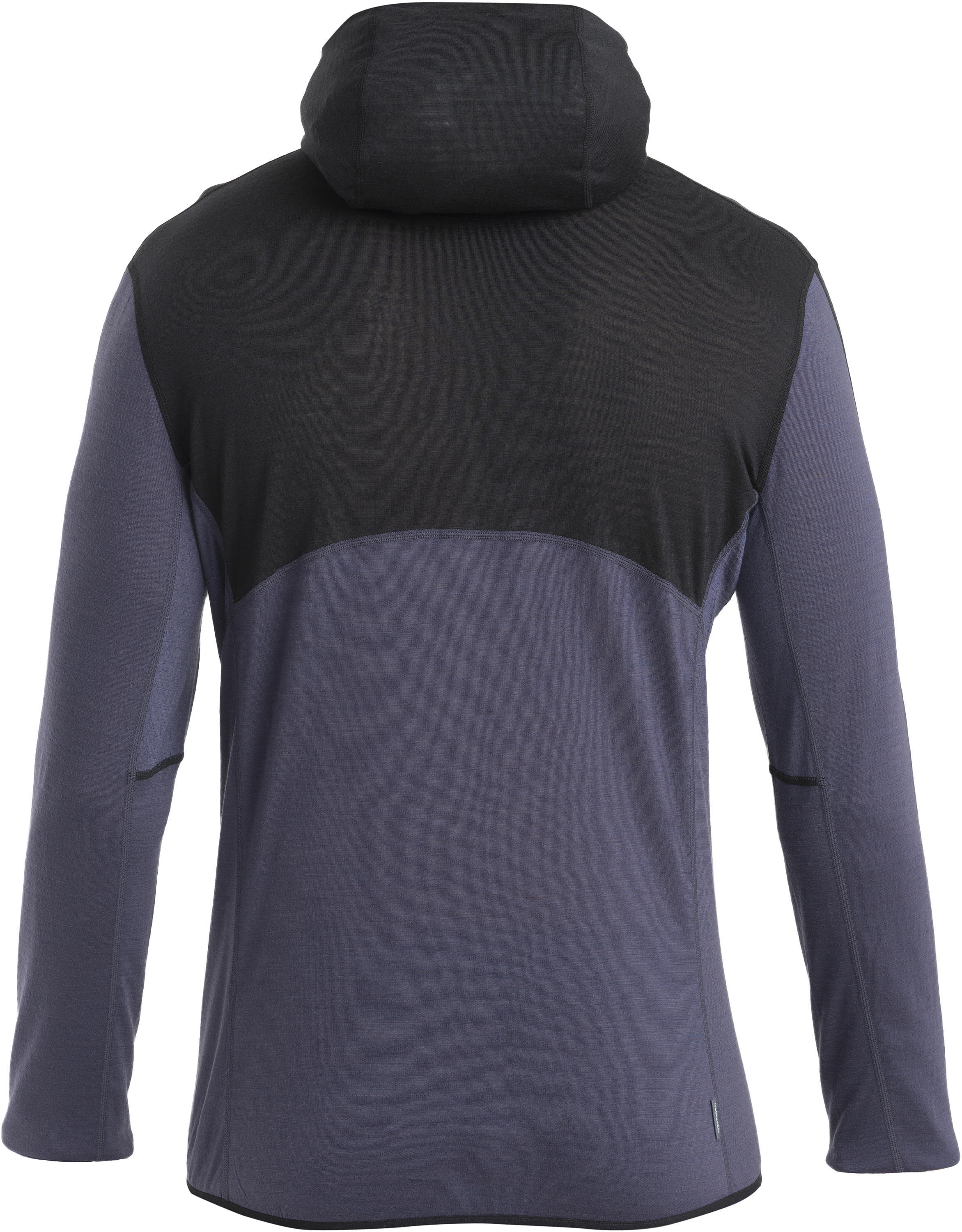 Icebreaker 200 RealFleece Descender LS