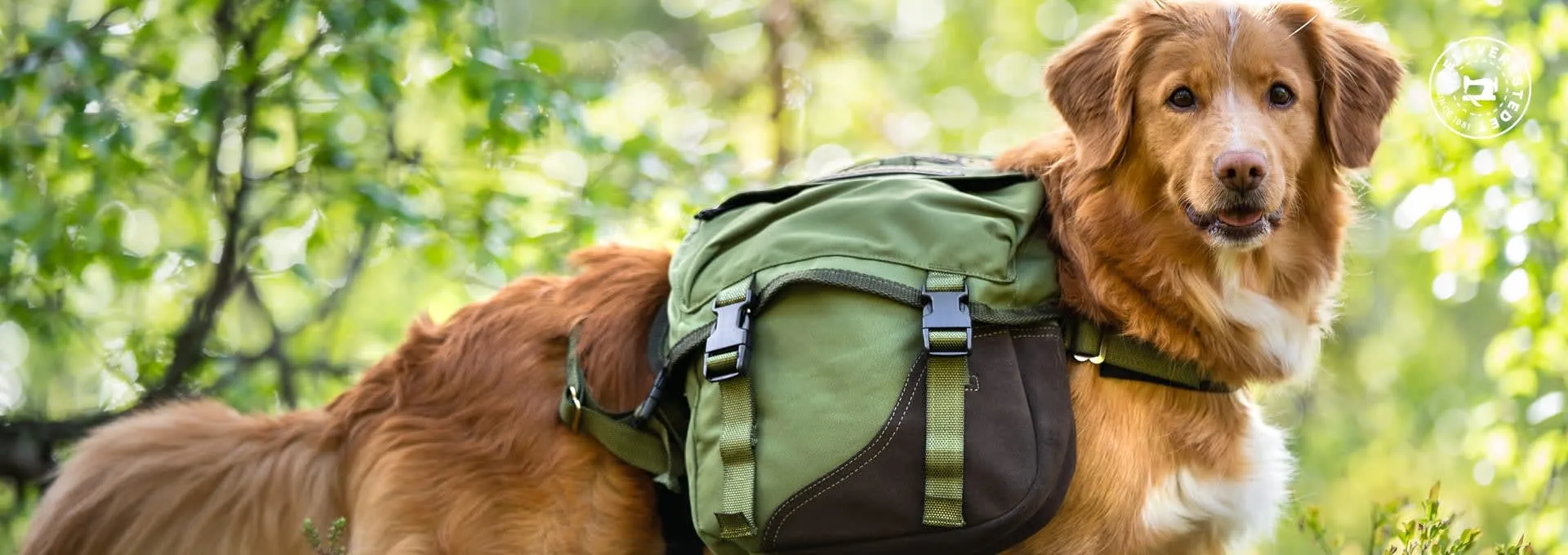 Seleverkstedet Togo hundekløv Grønn/brun M