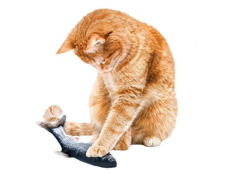 Kattenspeelgoed
