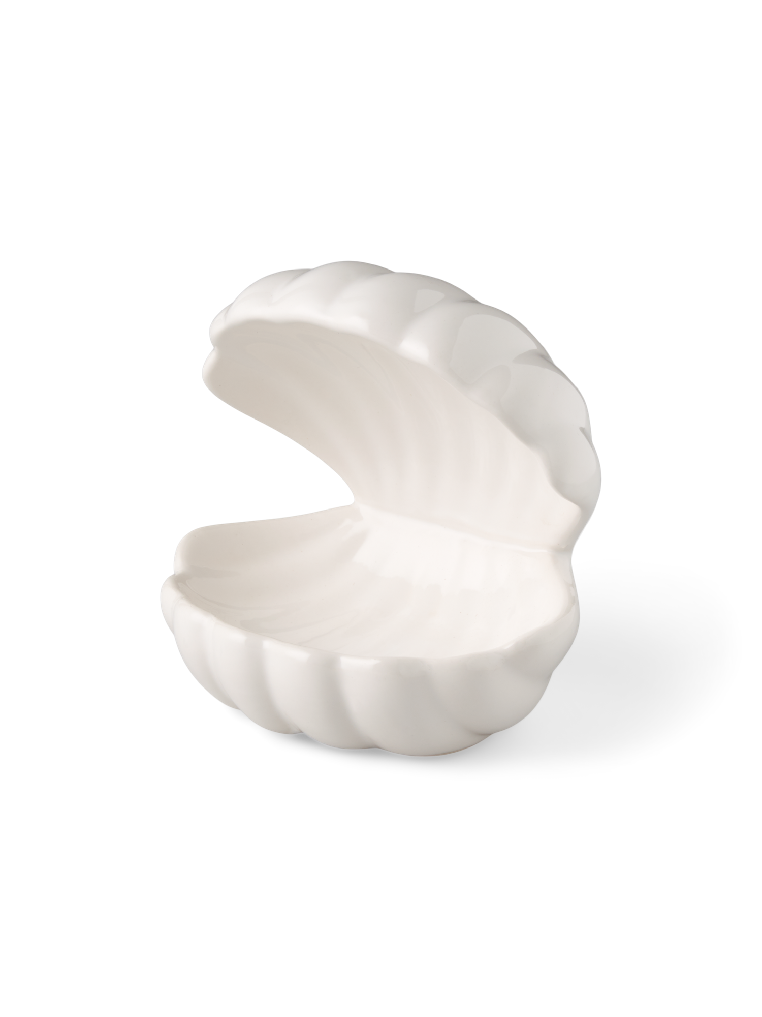 Dekorativ musling | Dolomit. 12 x 10 x 13 cm. | White