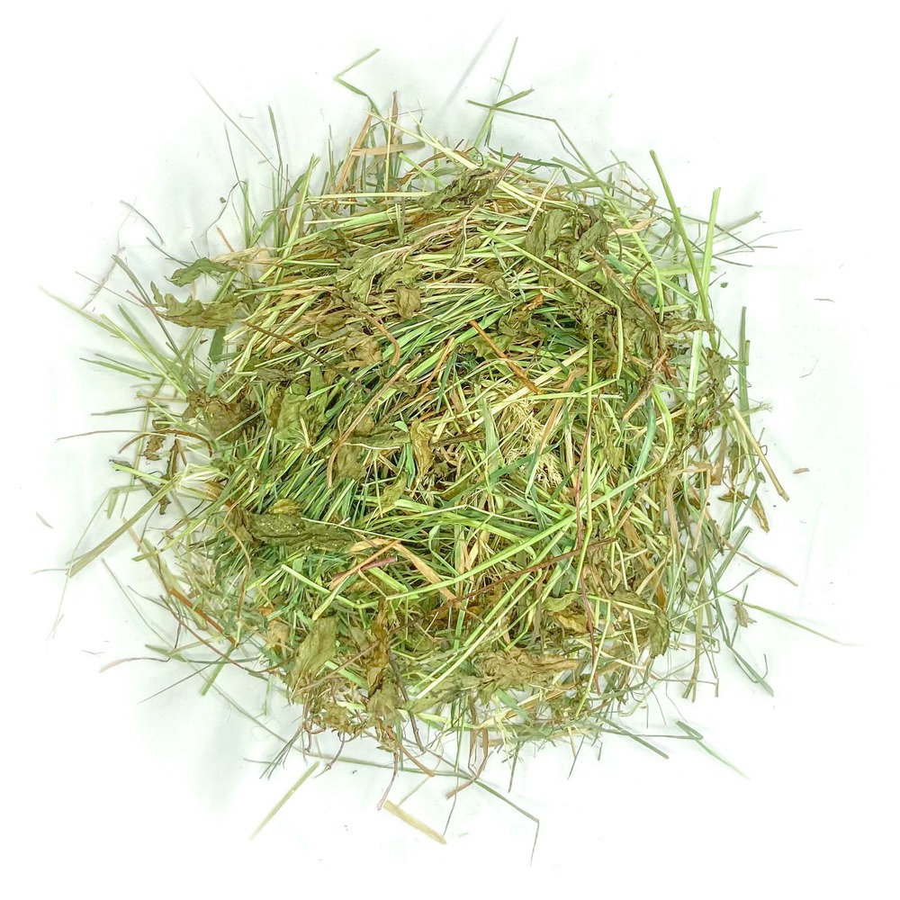 Foin aromatisé aux feuilles de framboisier pour lapins et rongeurs