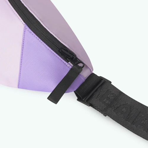 Sac banane Small Aurora violet