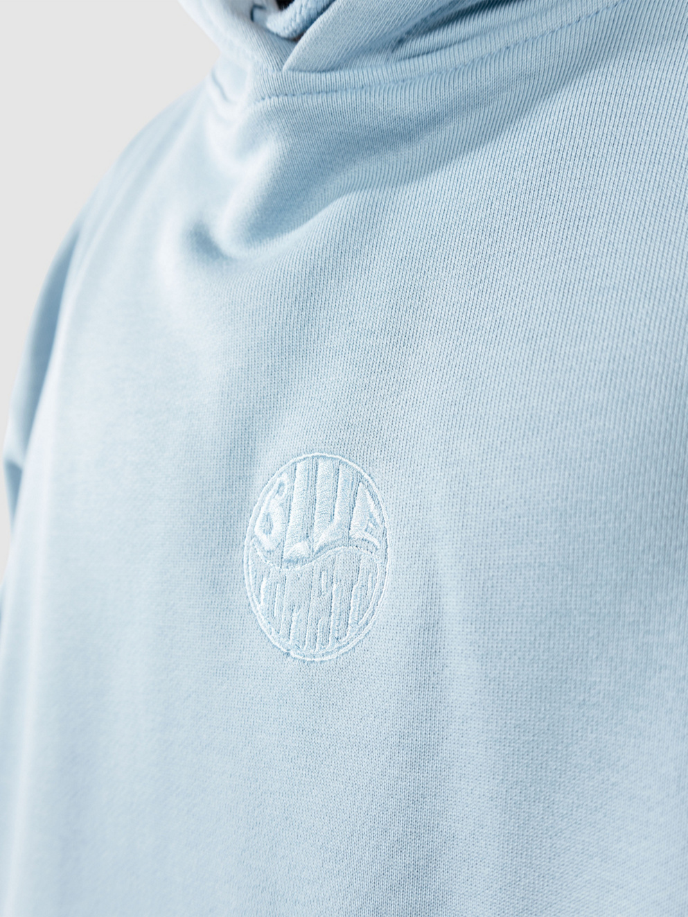 Blue Tomato Mini Logo Hoodie skyway