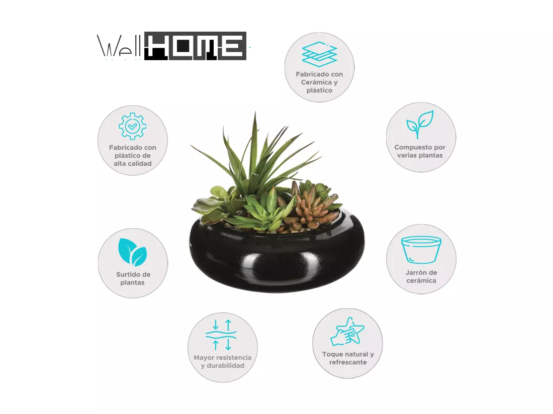 WELL HOME - Composition centre de table composée d'un assortiment de plantes avec un vase en céramique