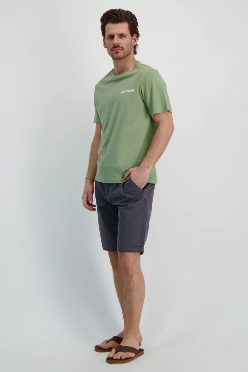 Element Blazin Chest Herren T-Shirt