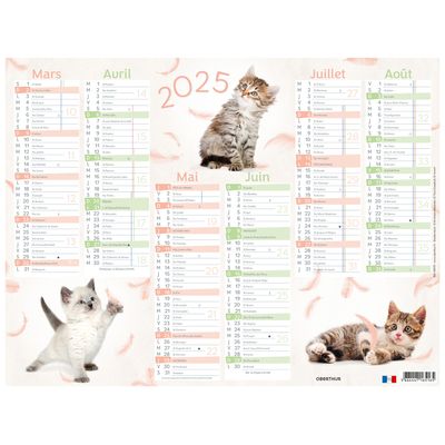 Calendrier Chaton - 6 mois par face - 40,5 x 55 cm - Oberthur