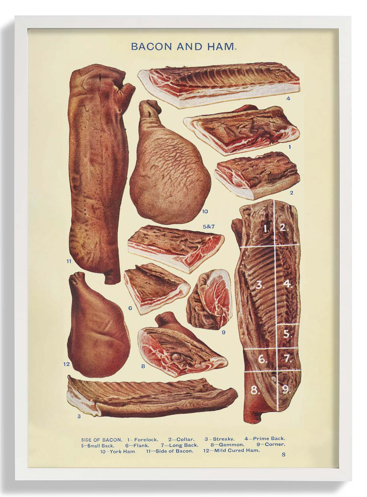 Speck & Schinken aus Mrs. Beetons Haushaltsführung