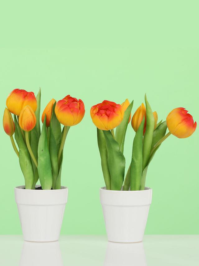 5 Tulpen im Keramiktopf, 2er Set