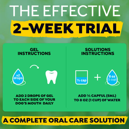 TropiClean - Fresh Breath Dental Trial Kit - Dog