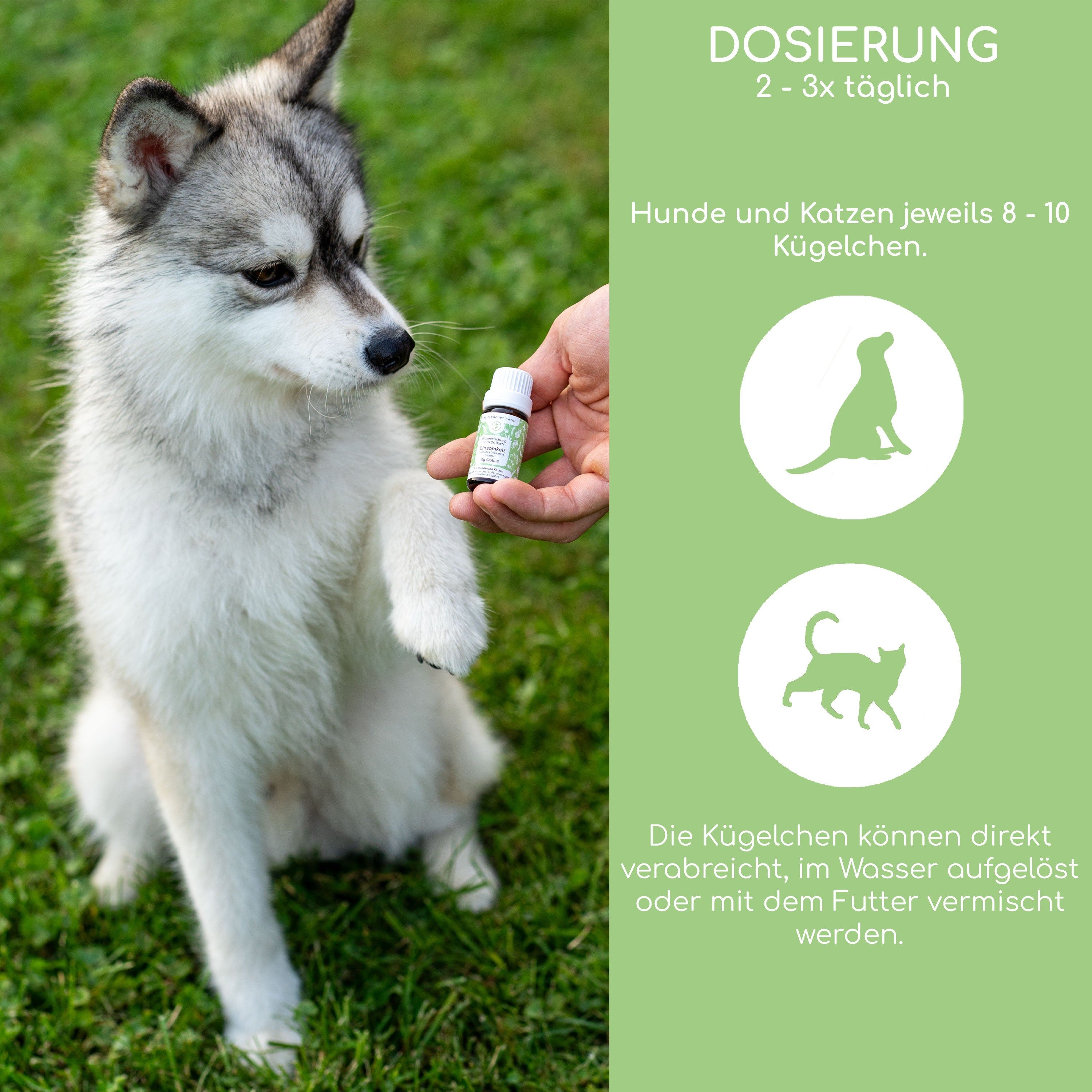 Wolfsbacher Natur Bachblüten Einsamkeit