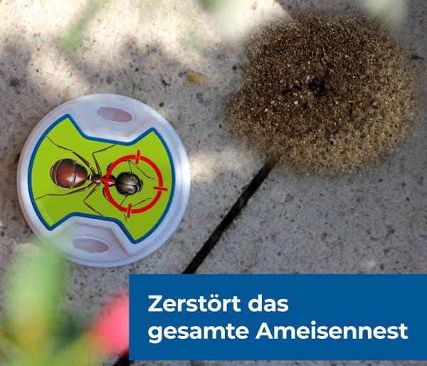 PROTECT HOME FormineX Ameisen-Köder Multi, 3