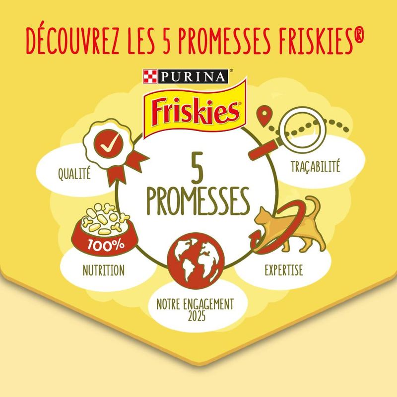 Friskies Adult, colin & légumes