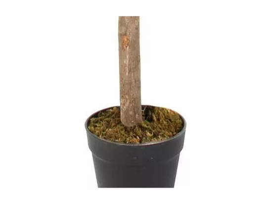 Plante Artificielle Citronnier 120c