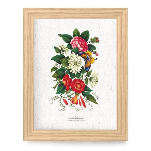 Affiche à planter a4 - fleurs chinoises