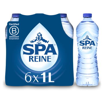 SPA REINE Natuurlijk Mineraalwater 6x 1L