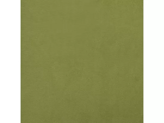 Repose-pied Vert clair 78x56x32 cm Velours
