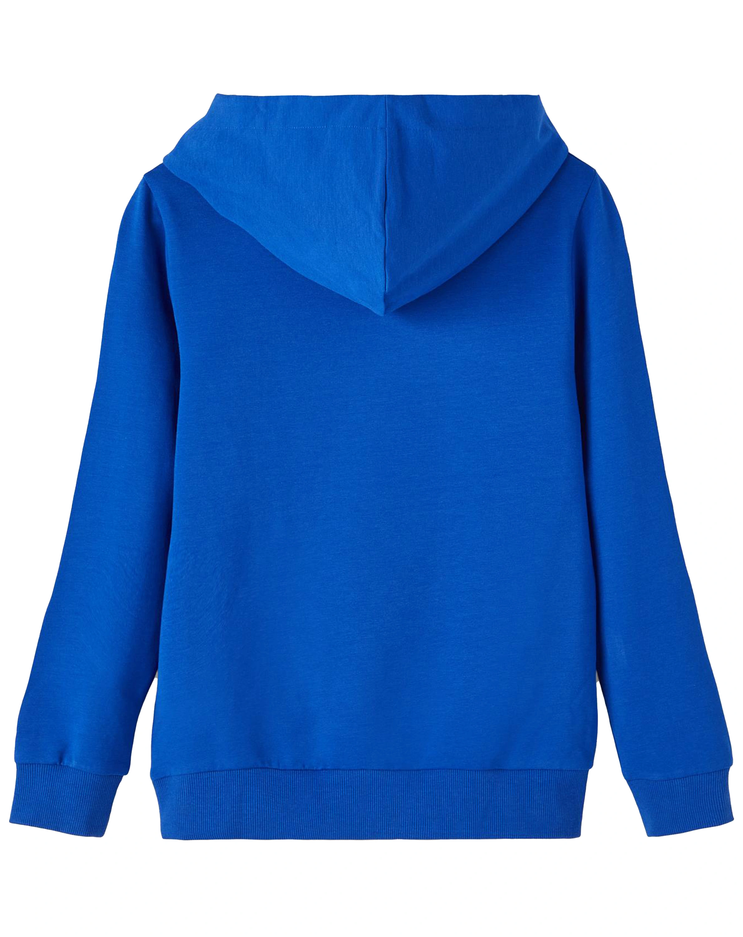 Kapuzen-Sweatshirt NKMDAMME in surf the web