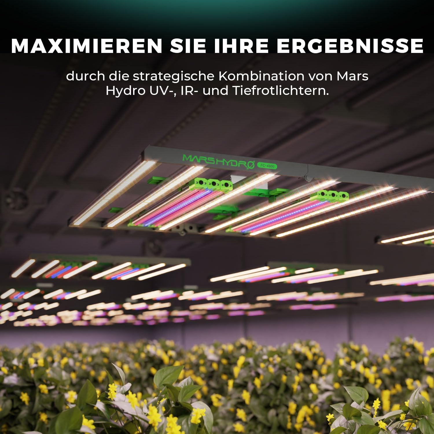 MARS HYDRO ADLITE UR5530 LED Pflanzenlampe für Innenpflanzen, 120x60 cm Abdeckung Grow Lampe, Fördert Photosynthese, Stärkt Pflanzenresistenz, Unterstützt Blüte, LED Pflanzenlampen Grow Light